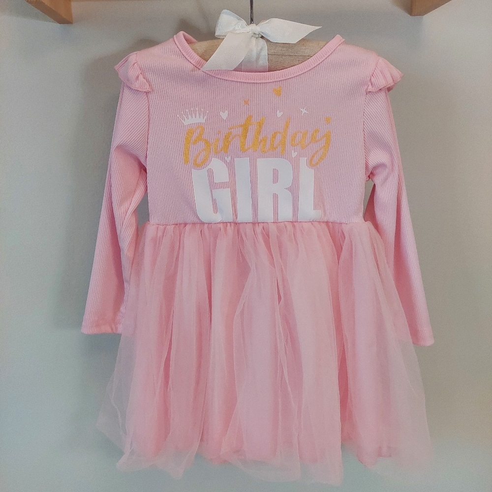 Pink Princess Birthday Girl Dress 1 To 2 Year Old 12 To 24 Months Baby Girl